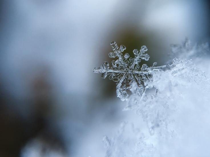snowflake aaron burden